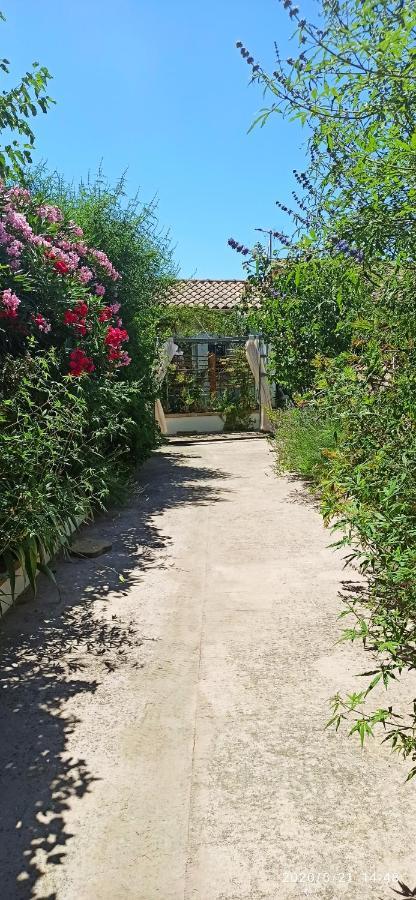 Secret Garden - Chez Gilles Et Tra - Maison D Hote -T2 Super Mignon, Neuf Et Independant , Dans Cadre Agreable Et Zen Valergues Exterior foto